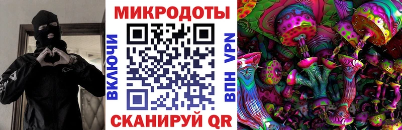 закладки  Лысьва  Псилоцибиновые грибы GOLDEN TEACHER 